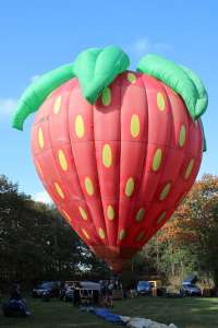 D-ONIX hot air balloon. Photograph by G Bann