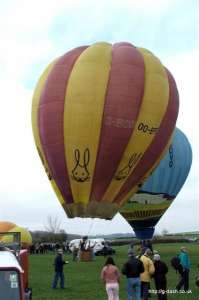 G-BCOA hot air balloon. Photograph by Mike Clarke