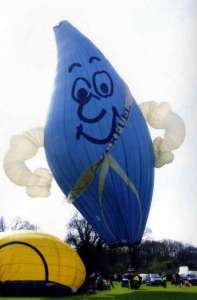 G-BGOO hot air balloon. Photograph by Graham Duke