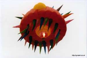 G-BMUK hot air balloon. Photograph by G Duke