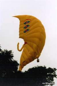 G-BMUL hot air balloon. Photograph by G Duke