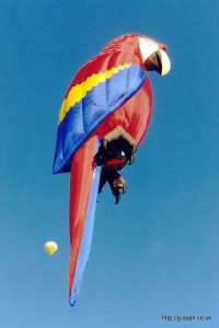 G-BRWZ hot air balloon. Photograph by Mike Clarke