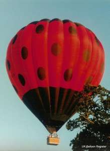 G-BSLG hot air balloon. Photograph by G Duke