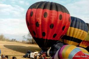 G-BUDV hot air balloon. Photograph by Balloon Spotters Archive
