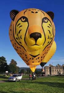 G-DUMA hot air balloon, added to the archive 27 August 2026. Photograph by Bob Garnett
