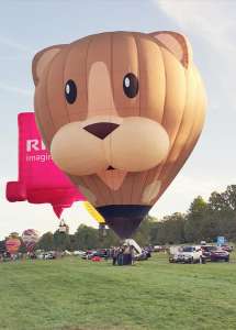 G-GPIG hot air balloon, added to the archive 27 August 2026. Photograph by Bob Garnett