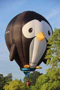 G-GUIN hot air balloon, added to the archive 27 August 2026. Photograph by Bob Garnett