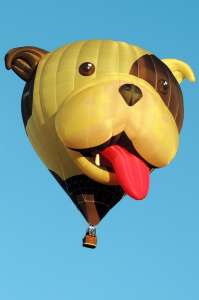 G-OPAW hot air balloon, added to the archive 27 August 2026. Photograph by Fay Shepherd