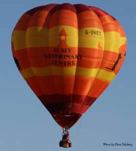 G-OVET hot air balloon, added to the archive 27 August 2026. Photograph by Dave Salisbury