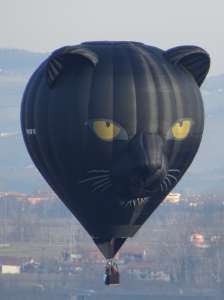G-PAWW hot air balloon, added to the archive 27 August 2026. Photograph by Trev Read