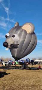G-TEEF hot air balloon, added to the archive 27 August 2026. Photograph by Ian Grove