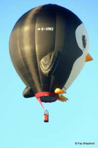 G-UINZ hot air balloon, added to the archive 27 August 2026. Photograph by Fay Shepherd